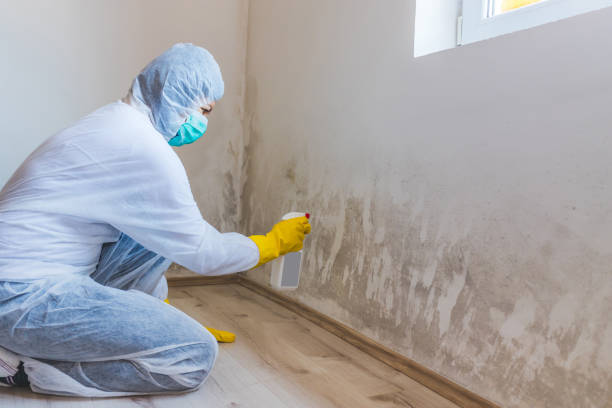 Mold inspector in Randolph performing thermal imaging